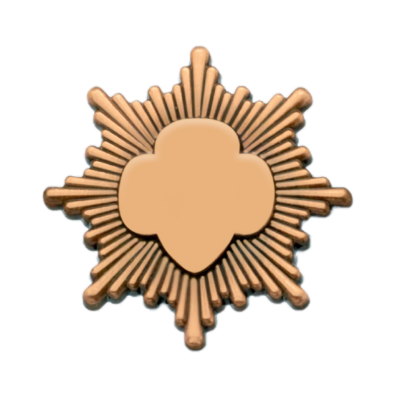 Girl Scouts Award